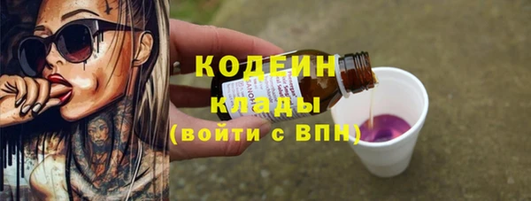 хмурый Алзамай
