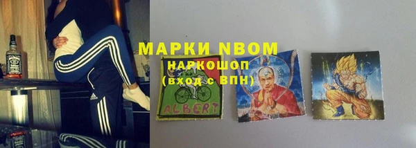 индика Армянск