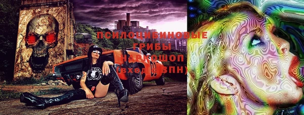 индика Армянск