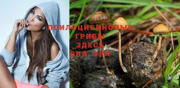 кокаин перу Аркадак