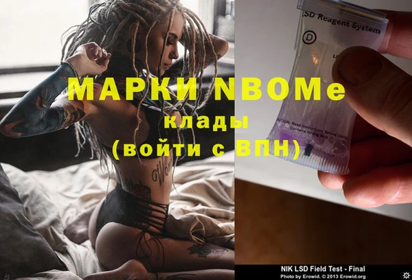 хмурый Алзамай