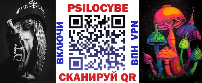 дарнет шоп  Киржач  Галлюциногенные грибы ЛСД 