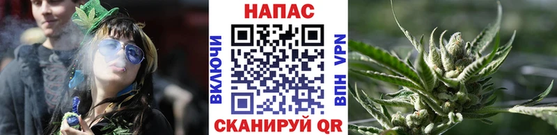 Бошки марихуана White Widow  магазин продажи наркотиков  Киржач 
